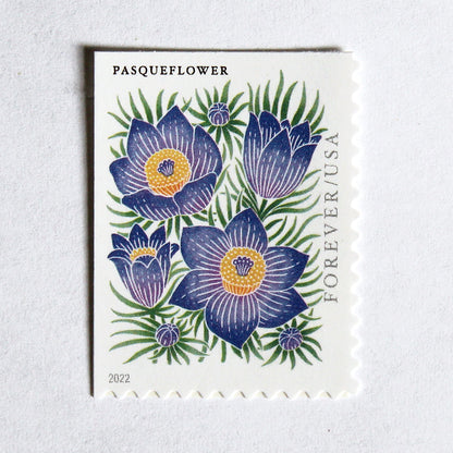Pasqueflower Forever Stamps .. Unused US Postage Stamps .. Pack of 10 –  treasurefoxstamps
